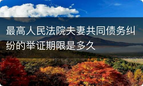 最高人民法院夫妻共同债务纠纷的举证期限是多久