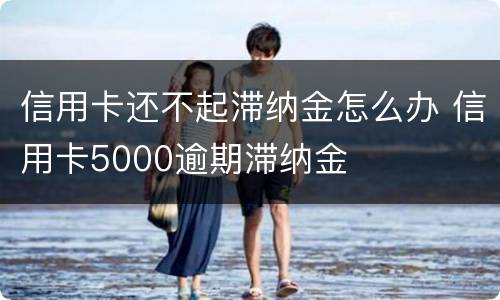 信用卡还不起滞纳金怎么办 信用卡5000逾期滞纳金