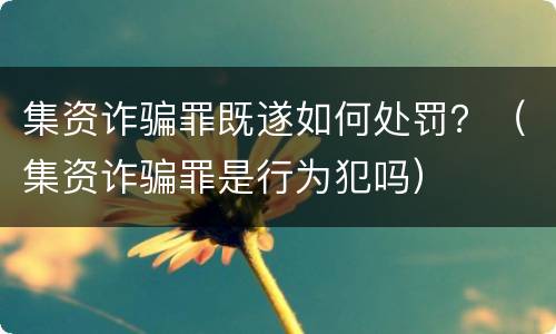 集资诈骗罪既遂如何处罚？（集资诈骗罪是行为犯吗）
