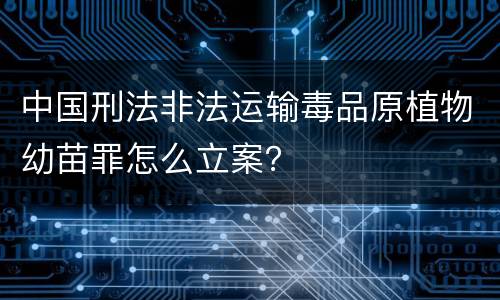 中国刑法非法运输毒品原植物幼苗罪怎么立案？