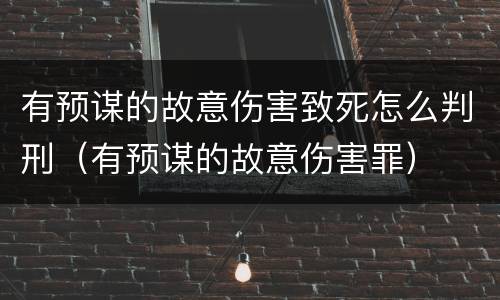 有预谋的故意伤害致死怎么判刑（有预谋的故意伤害罪）