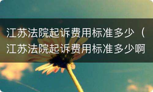江苏法院起诉费用标准多少（江苏法院起诉费用标准多少啊）