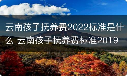 云南孩子抚养费2022标准是什么 云南孩子抚养费标准2019