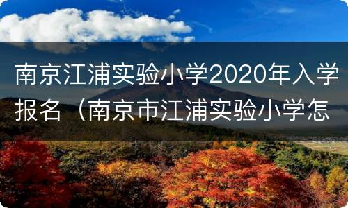 南京江浦实验小学2020年入学报名（南京市江浦实验小学怎么招生）