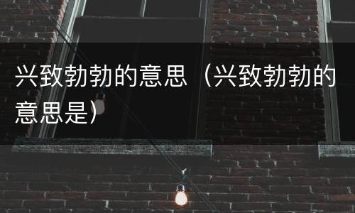 兴致勃勃的意思（兴致勃勃的意思是）