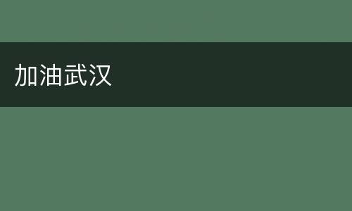 加油武汉