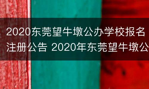 2020东莞望牛墩公办学校报名注册公告 2020年东莞望牛墩公办学位