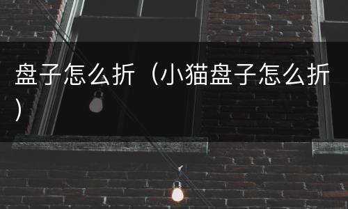 盘子怎么折（小猫盘子怎么折）