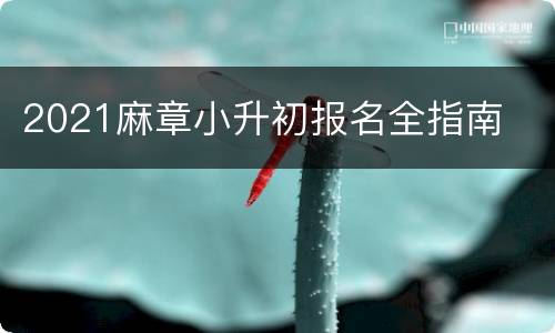 2021麻章小升初报名全指南