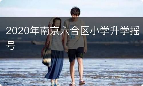 2020年南京六合区小学升学摇号