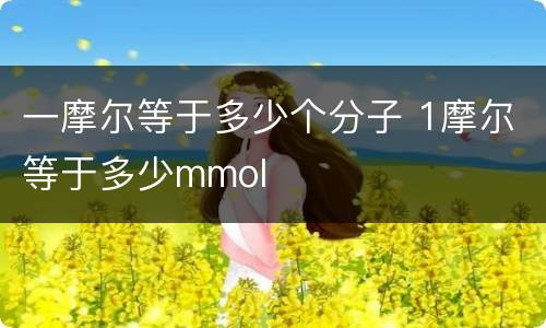 一摩尔等于多少个分子 1摩尔等于多少mmol