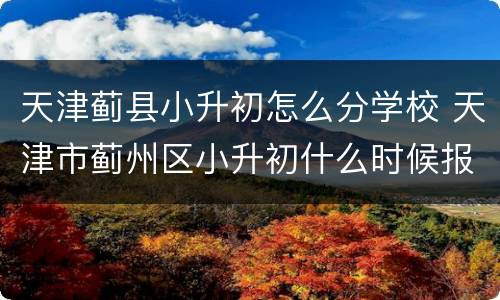 天津蓟县小升初怎么分学校 天津市蓟州区小升初什么时候报名摇号