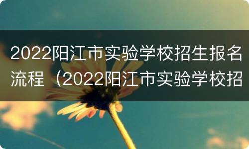 2022阳江市实验学校招生报名流程（2022阳江市实验学校招生报名流程图）