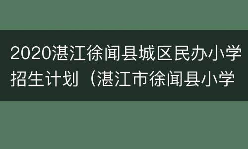2020湛江徐闻县城区民办小学招生计划（湛江市徐闻县小学排名）