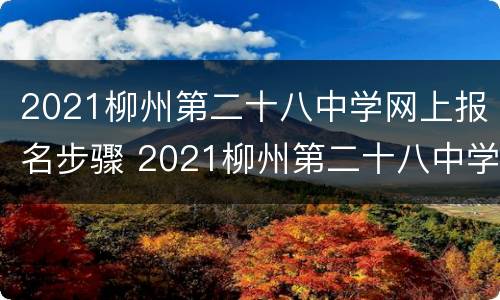 2021柳州第二十八中学网上报名步骤 2021柳州第二十八中学网上报名步骤表