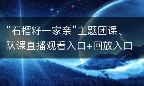 “石榴籽一家亲”主题团课、队课直播观看入口+回放入口