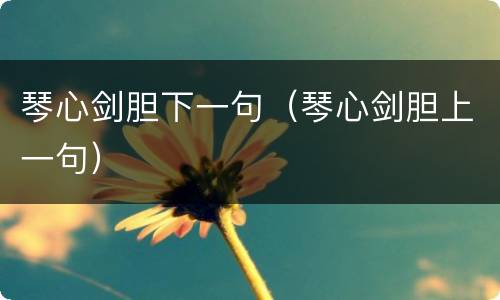 琴心剑胆下一句（琴心剑胆上一句）