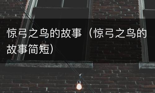 惊弓之鸟的故事（惊弓之鸟的故事简短）