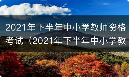 2021年下半年中小学教师资格考试（2021年下半年中小学教师资格考试查询）