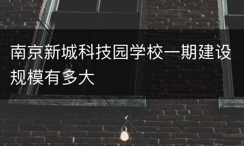 南京新城科技园学校一期建设规模有多大