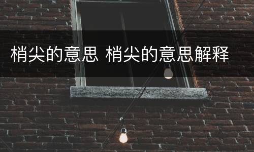 梢尖的意思 梢尖的意思解释