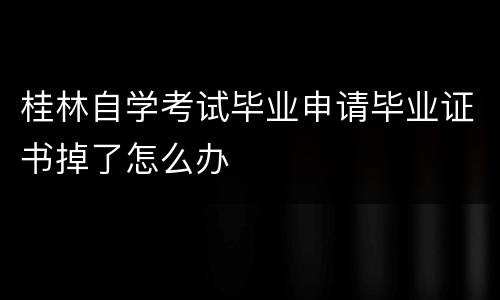 桂林自学考试毕业申请毕业证书掉了怎么办