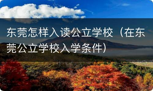 东莞怎样入读公立学校（在东莞公立学校入学条件）