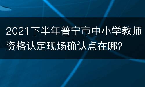 2021下半年普宁市中小学教师资格认定现场确认点在哪？
