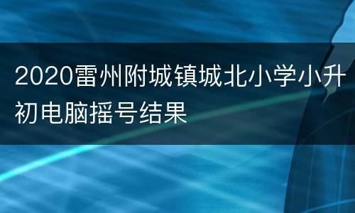 2020雷州附城镇城北小学小升初电脑摇号结果