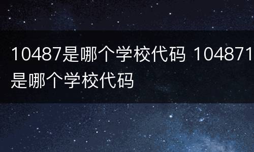 10487是哪个学校代码 104871是哪个学校代码