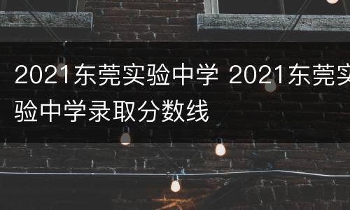 2021东莞实验中学 2021东莞实验中学录取分数线