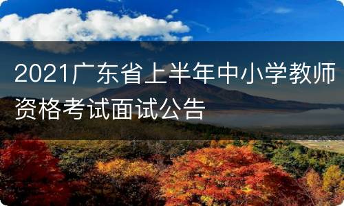 2021广东省上半年中小学教师资格考试面试公告