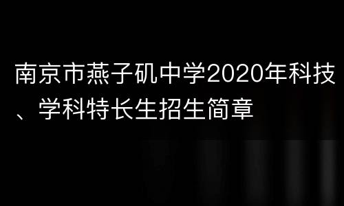 南京市燕子矶中学2020年科技、学科特长生招生简章