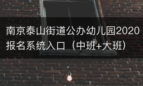 南京泰山街道公办幼儿园2020报名系统入口（中班+大班）