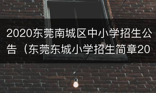 2020东莞南城区中小学招生公告（东莞东城小学招生简章2020）