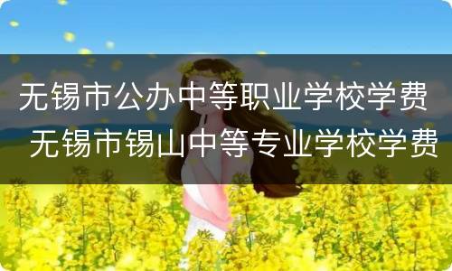 无锡市公办中等职业学校学费 无锡市锡山中等专业学校学费