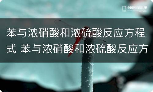 苯与浓硝酸和浓硫酸反应方程式 苯与浓硝酸和浓硫酸反应方程式现象