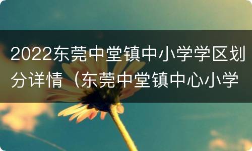 2022东莞中堂镇中小学学区划分详情（东莞中堂镇中心小学）