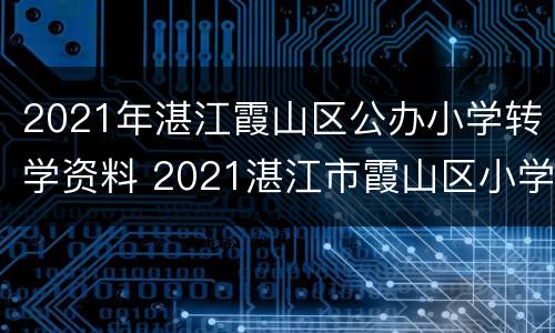2021年湛江霞山区公办小学转学资料 2021湛江市霞山区小学转学