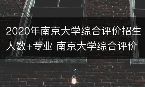 2020年南京大学综合评价招生人数+专业 南京大学综合评价有哪些专业