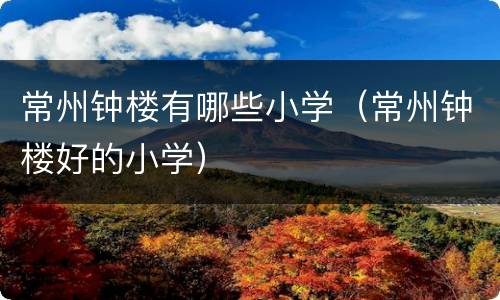 常州钟楼有哪些小学（常州钟楼好的小学）