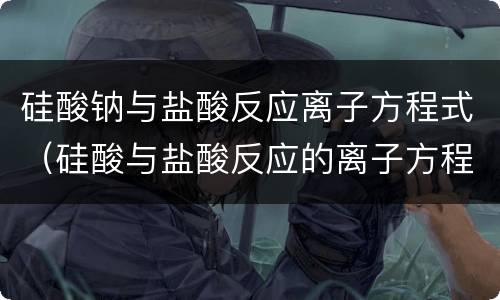 硅酸钠与盐酸反应离子方程式（硅酸与盐酸反应的离子方程式）