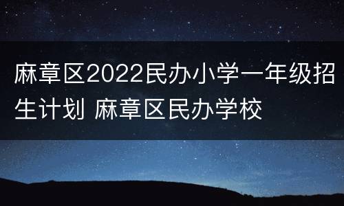 麻章区2022民办小学一年级招生计划 麻章区民办学校