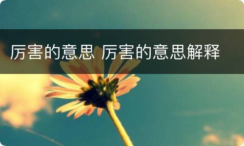 厉害的意思 厉害的意思解释