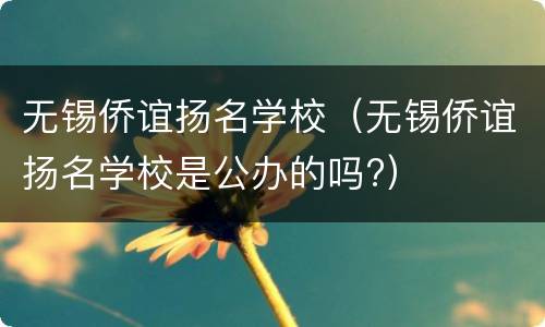无锡侨谊扬名学校（无锡侨谊扬名学校是公办的吗?）