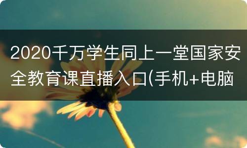 2020千万学生同上一堂国家安全教育课直播入口(手机+电脑)