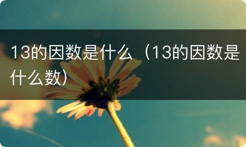 13的因数是什么（13的因数是什么数）