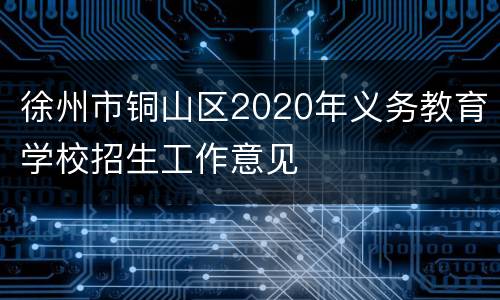 徐州市铜山区2020年义务教育学校招生工作意见