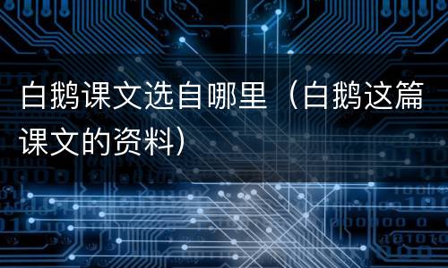 白鹅课文选自哪里（白鹅这篇课文的资料）