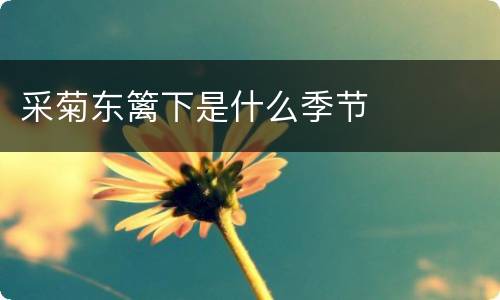 采菊东篱下是什么季节